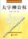 大字柳公权 封面