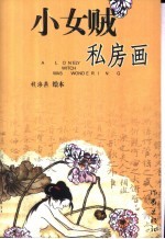 小女贼私房画 封面