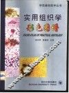 实用组织学彩色图谱  中英文本 封面