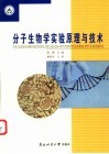分子生物学实验原理与技术 封面