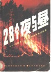 28个夜与昼  沈阳军区大兴安岭扑火纪实 封面