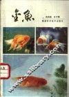 金鱼 封面