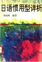 日语惯用型详析 封面