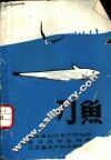 刀鱼 封面