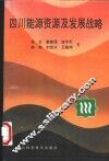 四川能源资源及发展战略 封面