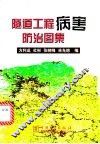 隧道工程病害防治图集 封面
