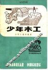 少年木工 封面
