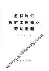 怎样制订探矿工程物化劳动定额 封面