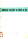 激发极化法和电磁法文集 封面