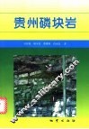 贵州磷块岩 封面