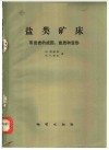 盐类矿床：蒸发岩的成因、变质和变形 封面