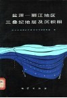 盐源-丽江地区三叠纪地层及沉积相 封面