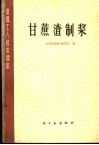 甘蔗渣制浆 封面