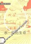 水－船的生命 封面
