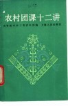 农村团课十二讲 封面