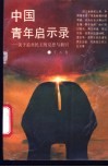 中国青年启示录  关于追求民主的反思与新识 封面