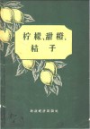 柠檬、甜橙、桔子 电子书封面