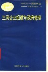 三资企业组建与政府管理 封面