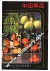中国果品 封面