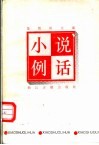 小说例话 封面