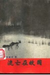 流亡在故国 封面