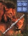 动物摄影 封面