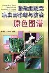 葱蒜类蔬菜病虫害诊断与防治原色图谱 封面