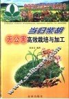 当归柴胡无公害高效栽培与加工 封面
