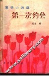 第一次约会  爱情小说选 封面