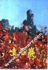 嶂石岩 封面