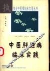 中医胆肝病临床实践 封面