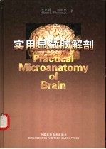 实用显微脑解剖 封面