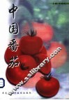 中国番茄 封面