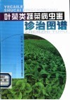 叶菜类蔬菜病虫害诊治图谱 封面