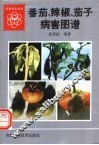 番茄、辣椒、茄子病害图谱 封面