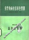 农作物病虫害彩色图册  第5分册  蔬菜病虫害 封面
