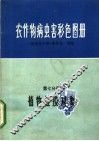 农作物病虫害彩色图册  第7分册  植物检疫对象 封面