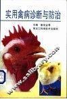 实用禽病诊断与防治 封面