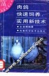 肉鸽快速饲养实用新技术 封面