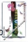 鸭高效饲养与疫病监控 封面