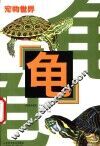 龟 封面