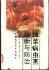 蔬菜病虫害诊断与防治 封面