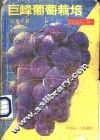 巨峰葡萄栽培 封面