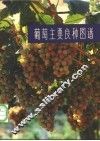 葡萄主要良种图谱 封面