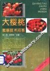 大樱桃栽培技术问答 封面