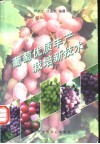 葡萄优质丰产栽培新技术 封面