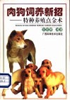 肉狗饲养新招  特种养殖点金术 封面