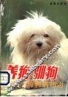 养狗与狗病防治 封面