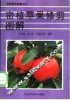 密植苹果修剪图解 封面