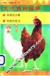 实用鸡病图解 封面